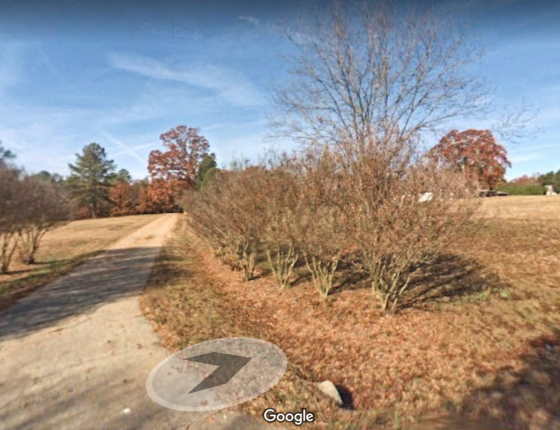 Site of Camp Means Cherokee Internment Camp