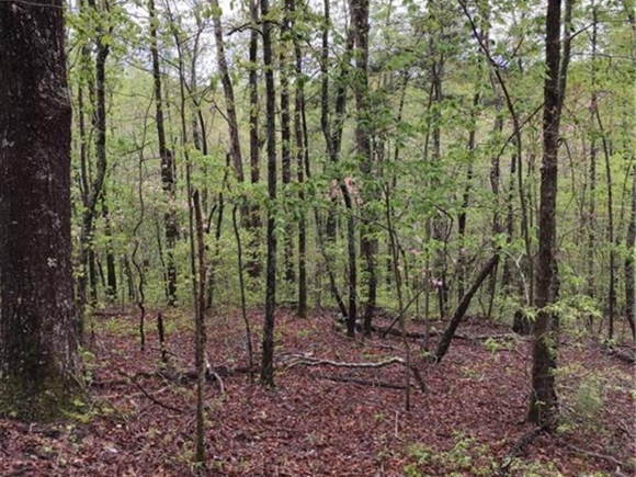Fort Gilmer