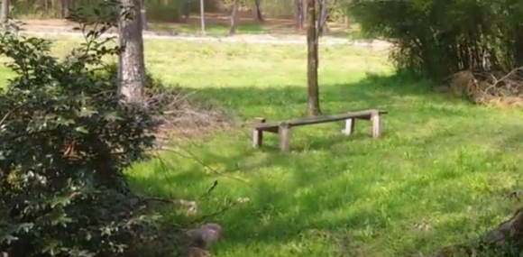 Fort Newnan
