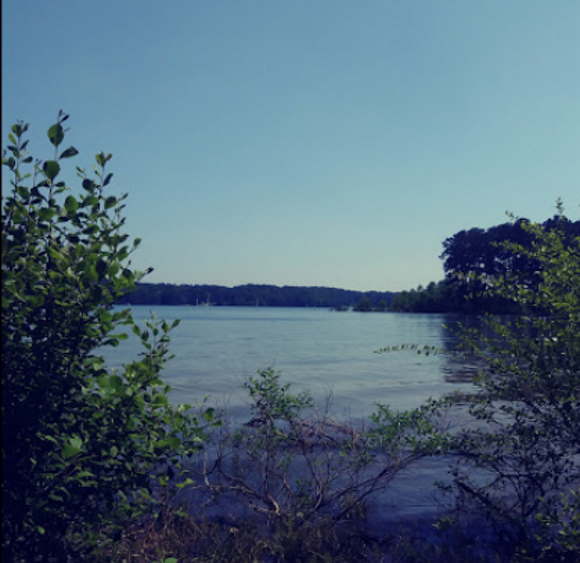 A view of the site of Sixes as seen from Sweetwater Park